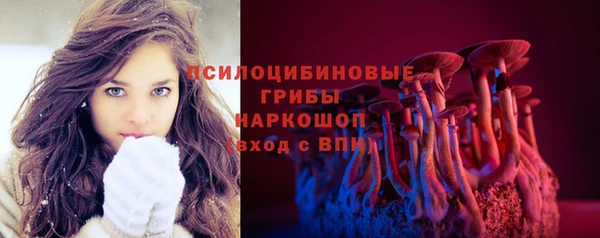 героин Михайлов