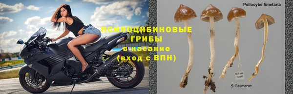 герыч Медногорск