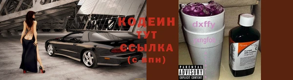 прущие грибы Михайловка