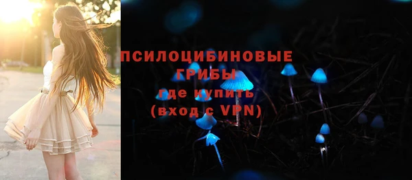 мескалин Медвежьегорск