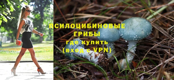 героин Михайлов