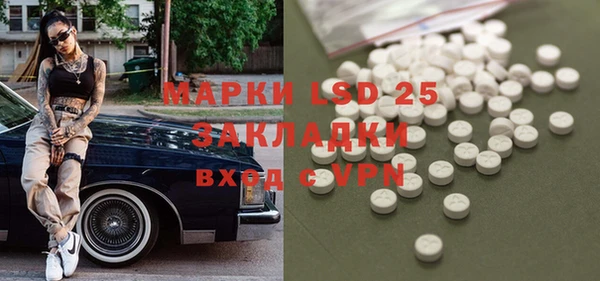 прущие грибы Михайловка