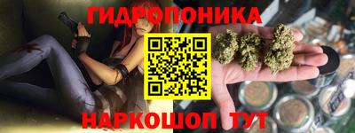 прущие грибы Балаково