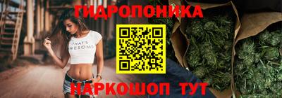 шишки Гагарин