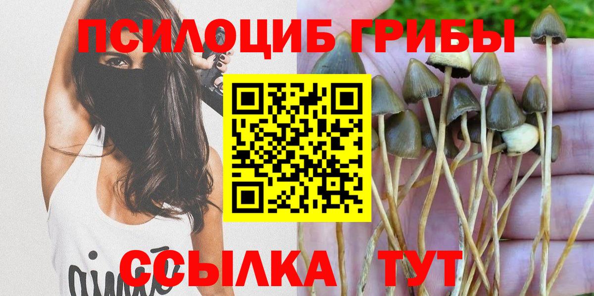 Псилоцибиновые грибы Psilocybe  Вход с VPN  Галлюциногенные грибы мухоморы  Ульяновск 