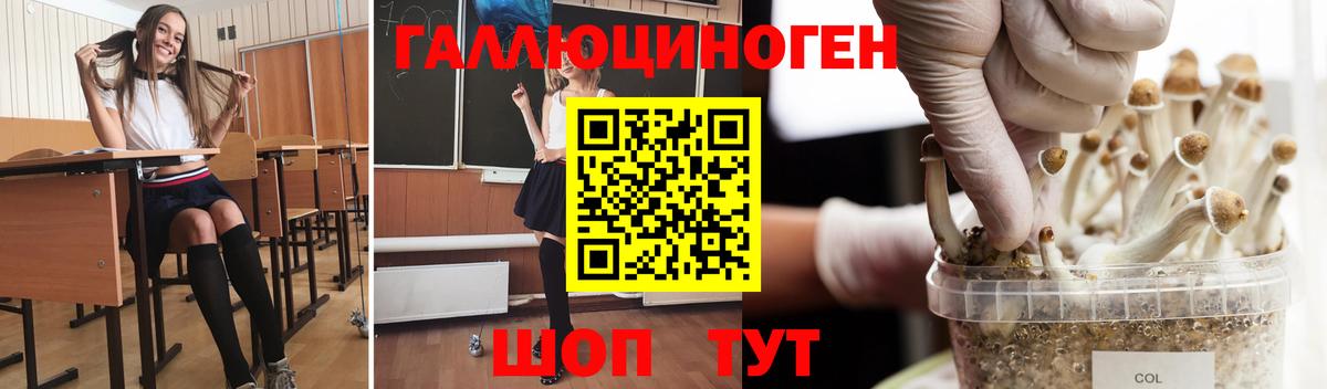 Псилоцибиновые грибы прущие грибы Ульяновск